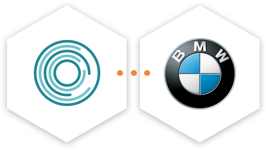 BMW Social & Reputation Management Program