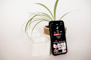 Phone leaning on a plant shows a TikTok feed.
