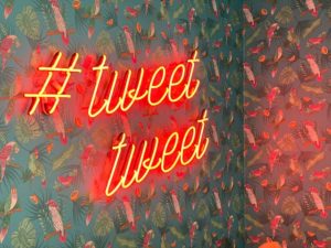 Neon tweet sign against a bird-patterned wallpaper.